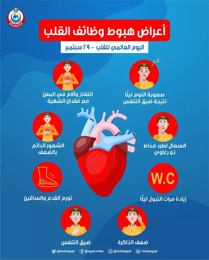 إنفوجراف