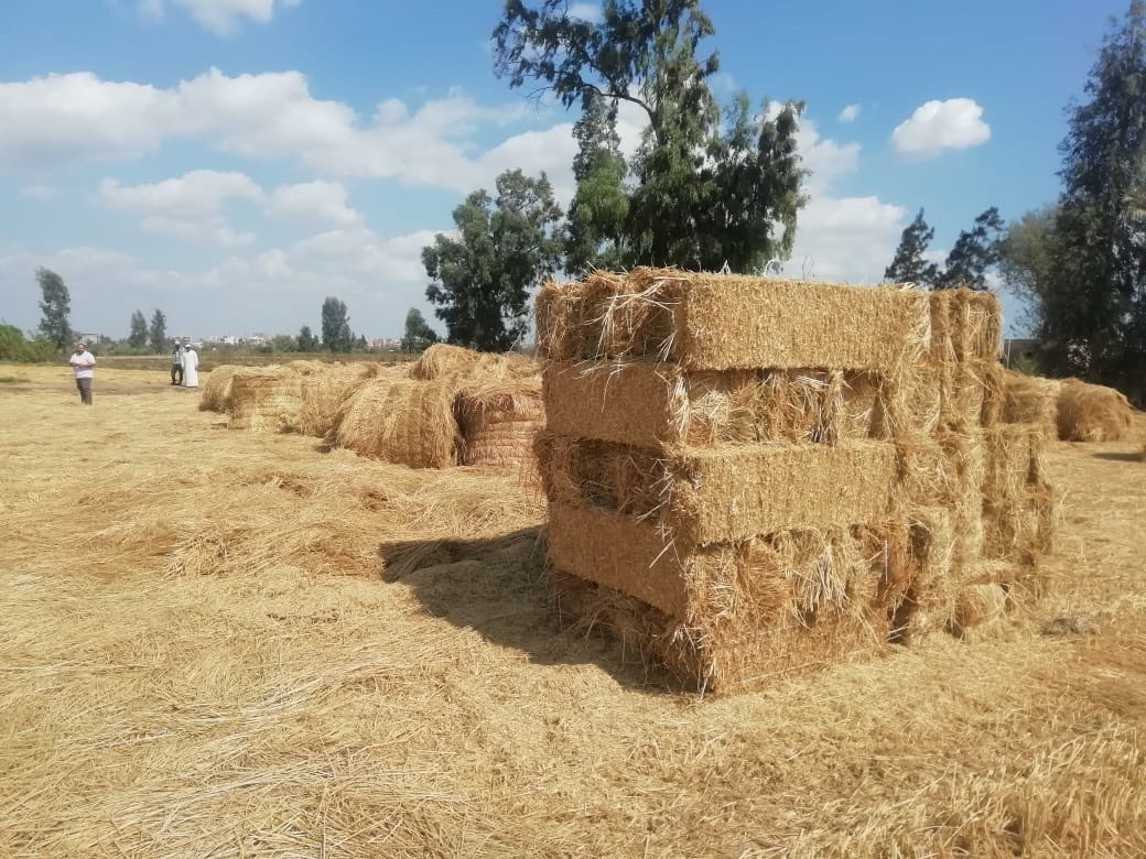 صورة من الحدث