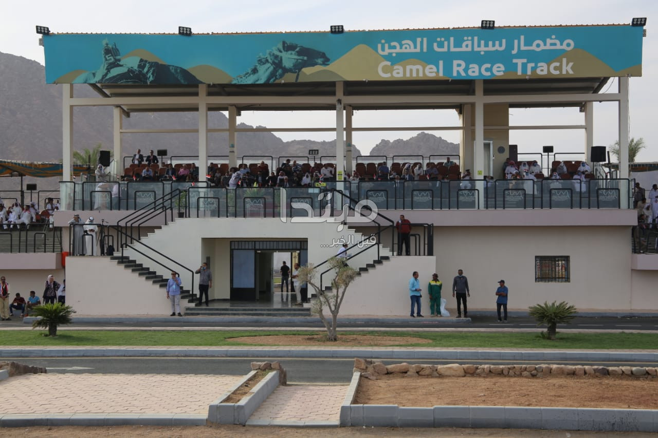 مهرجان شرم الشيخ لسباقات الهجن
