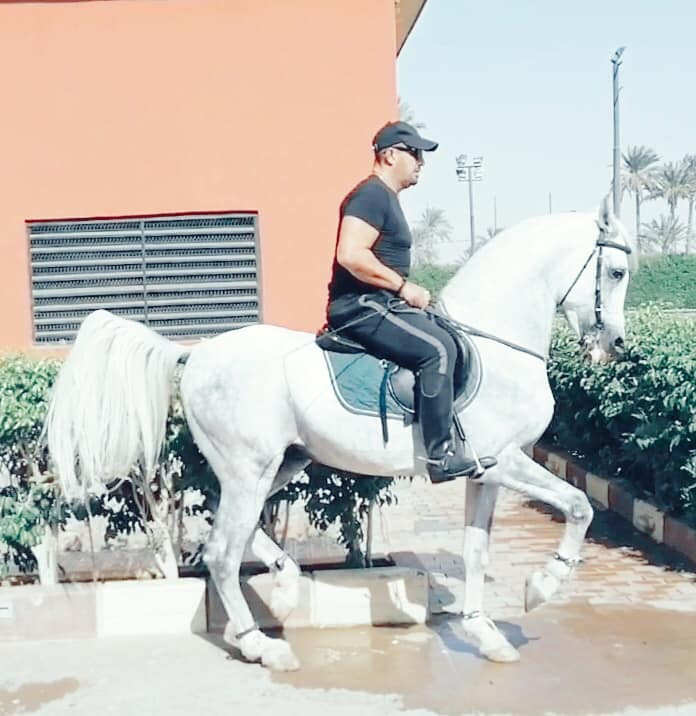أحمد السقا