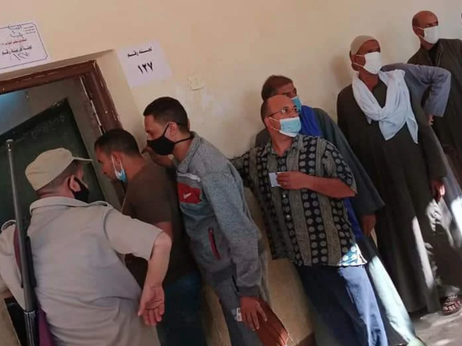 المنيا