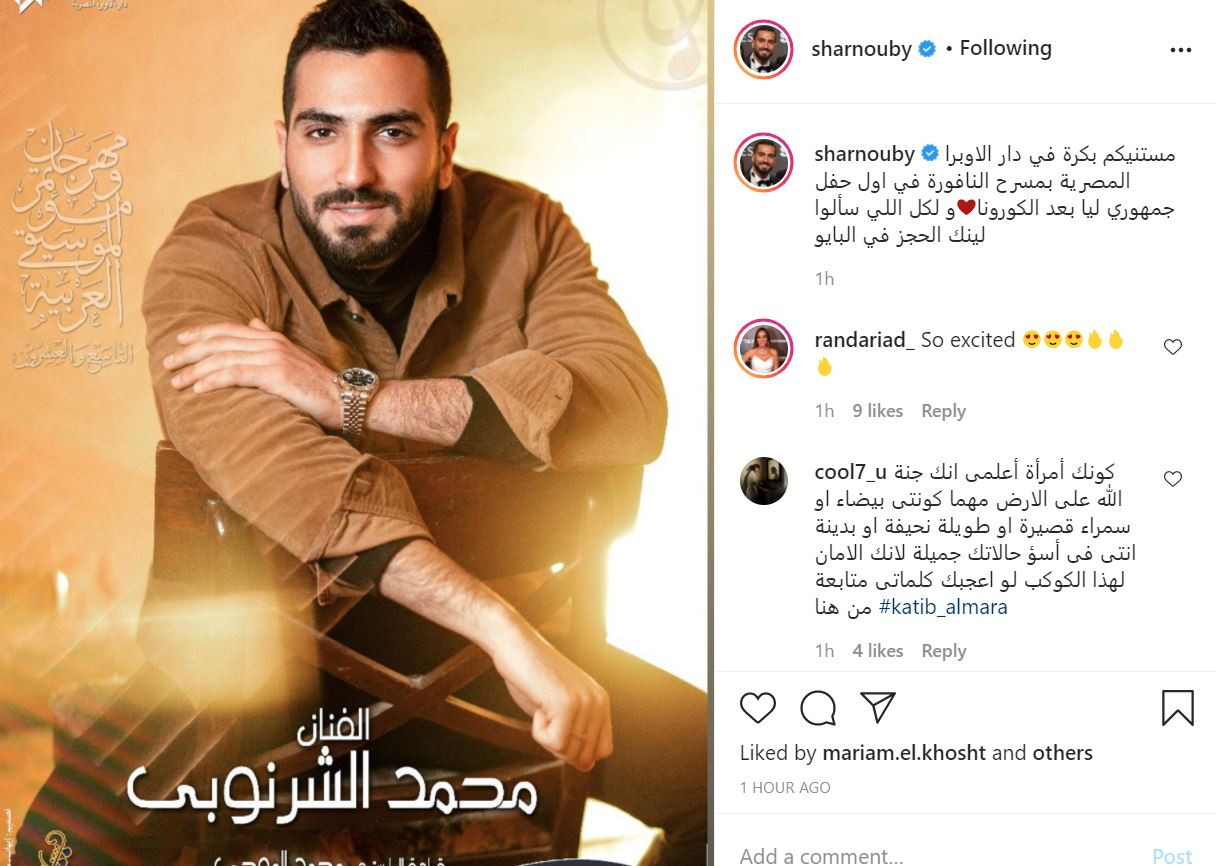 الشرنوبى