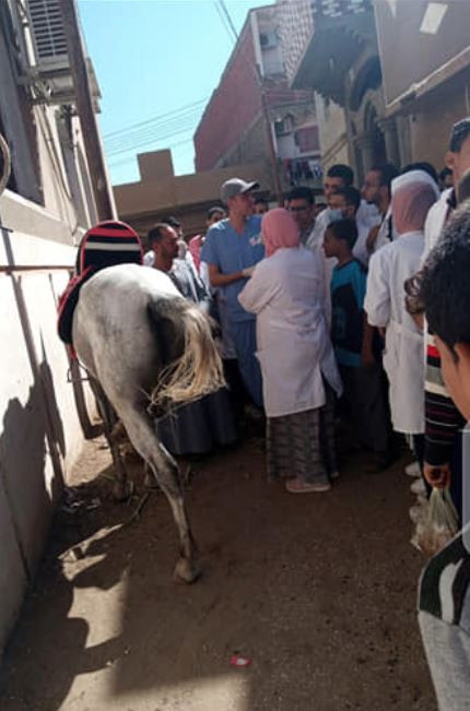 قافلة بيطرية