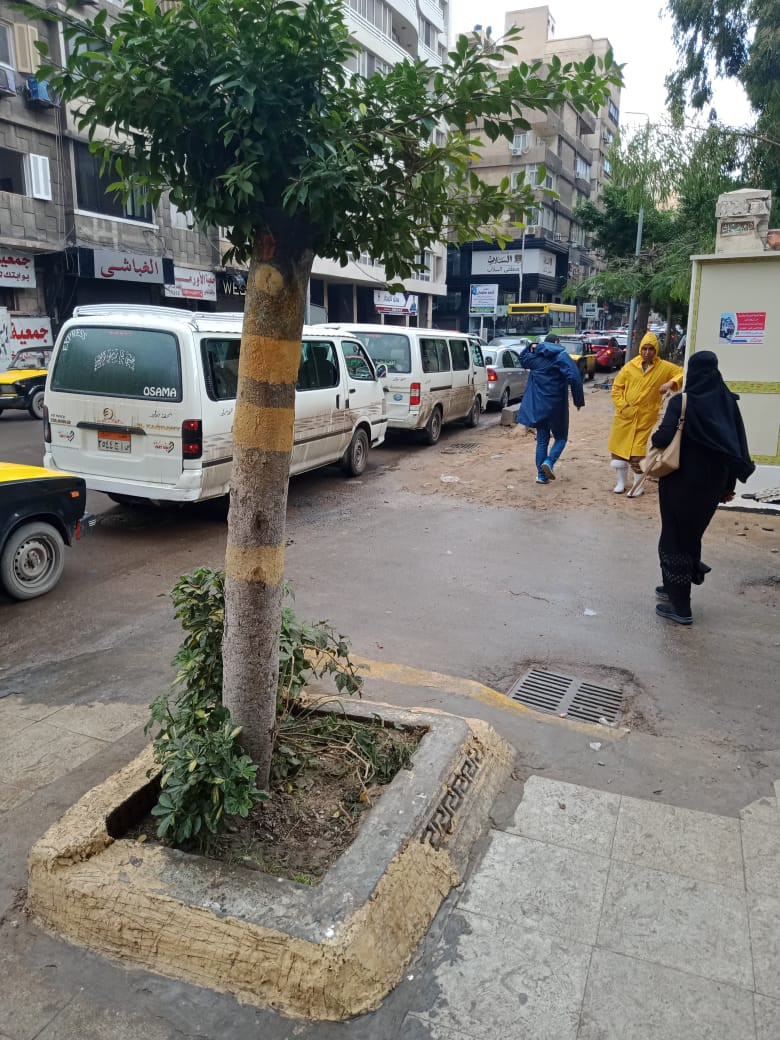 أمطار غزيرة على الإسكندرية