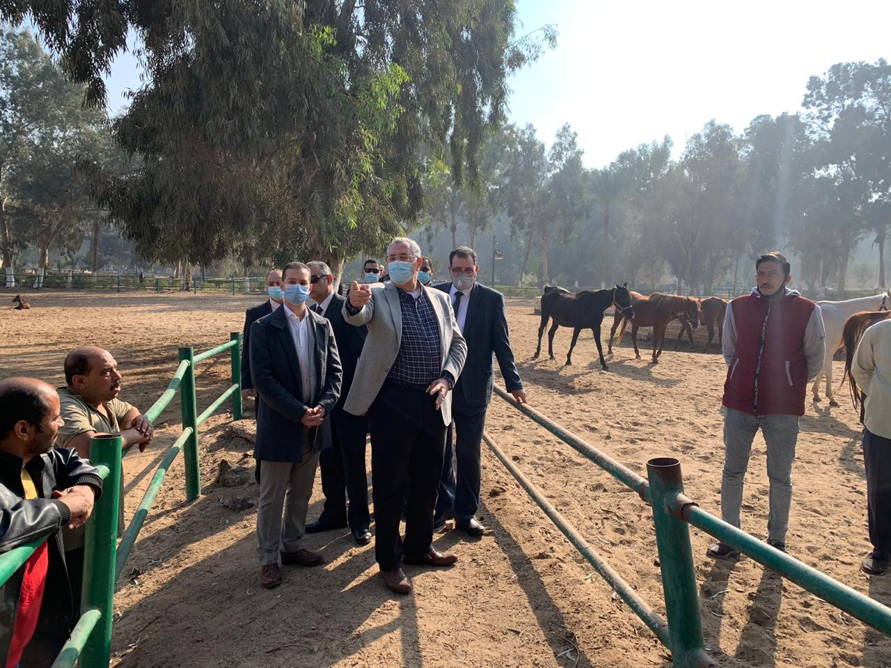 وزير الزراعة يتابع تطوير محطة الزهراء للخيول العربية الأصيلة
