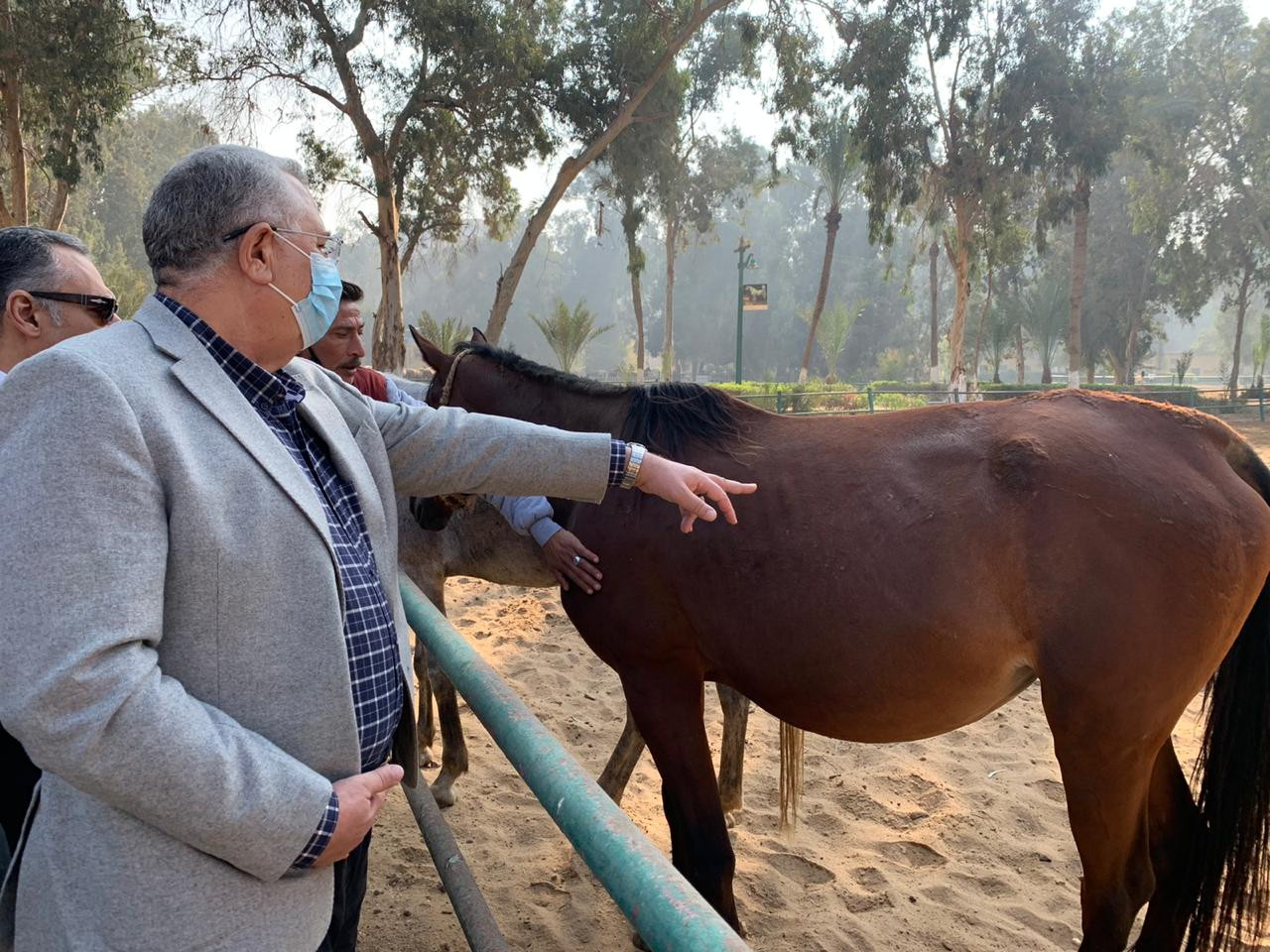 وزير الزراعة يتابع تطوير محطة الزهراء للخيول العربية الأصيلة