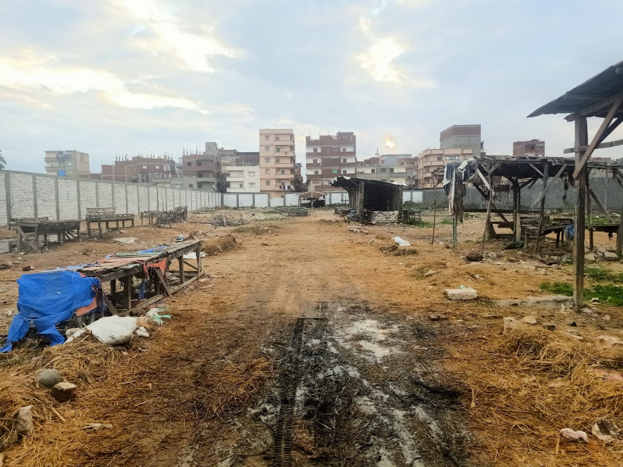 غلق سوق للماشية بالإسكندرية