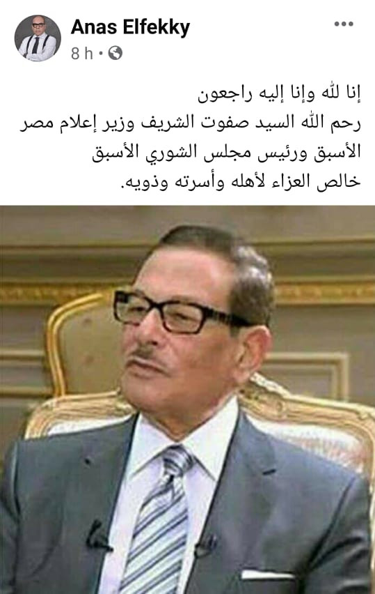انس الفقى