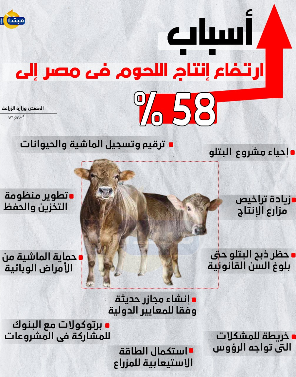 اللحوم