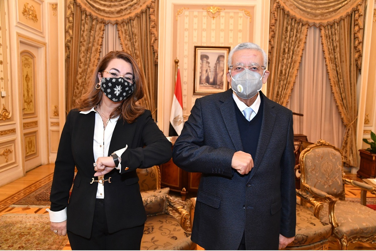 غادة والى فى مجلس النواب