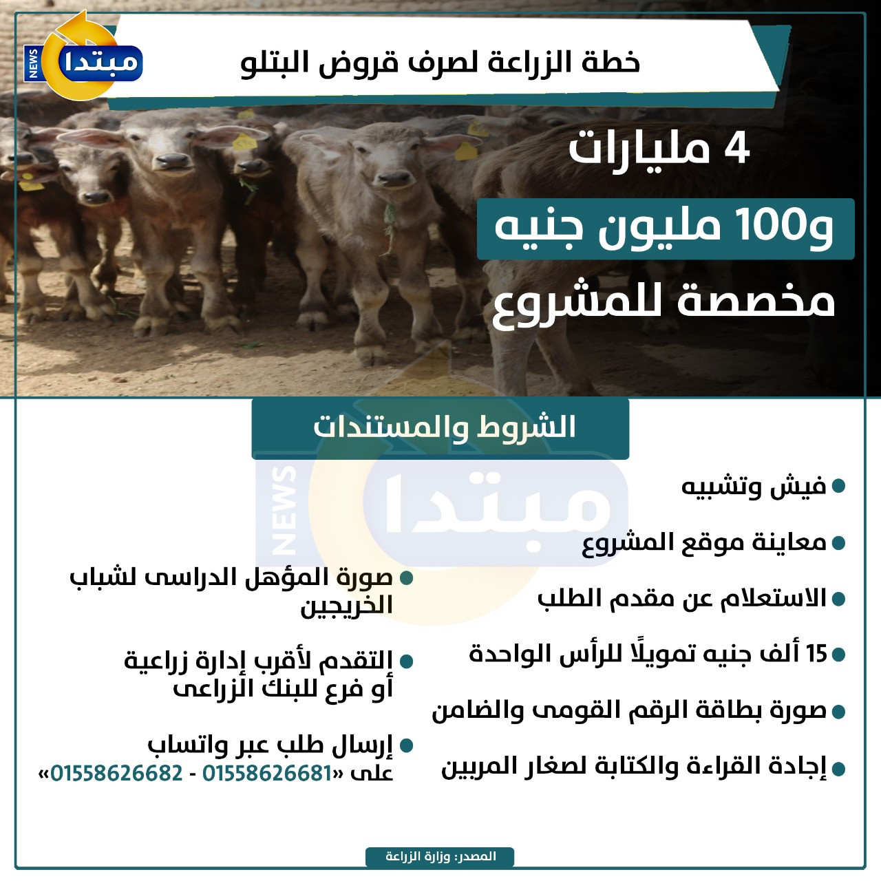 إنفوجراف