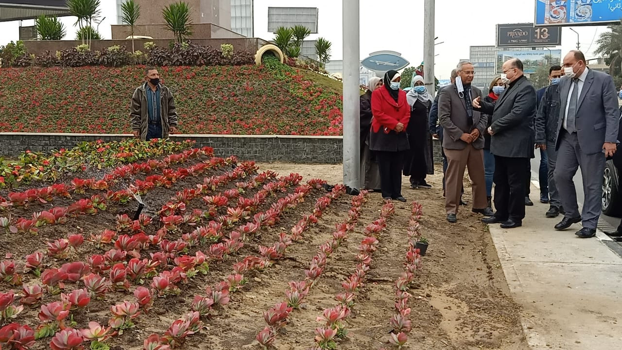 تطوير الجزيرة الوسطى بشارع صلاح سالم