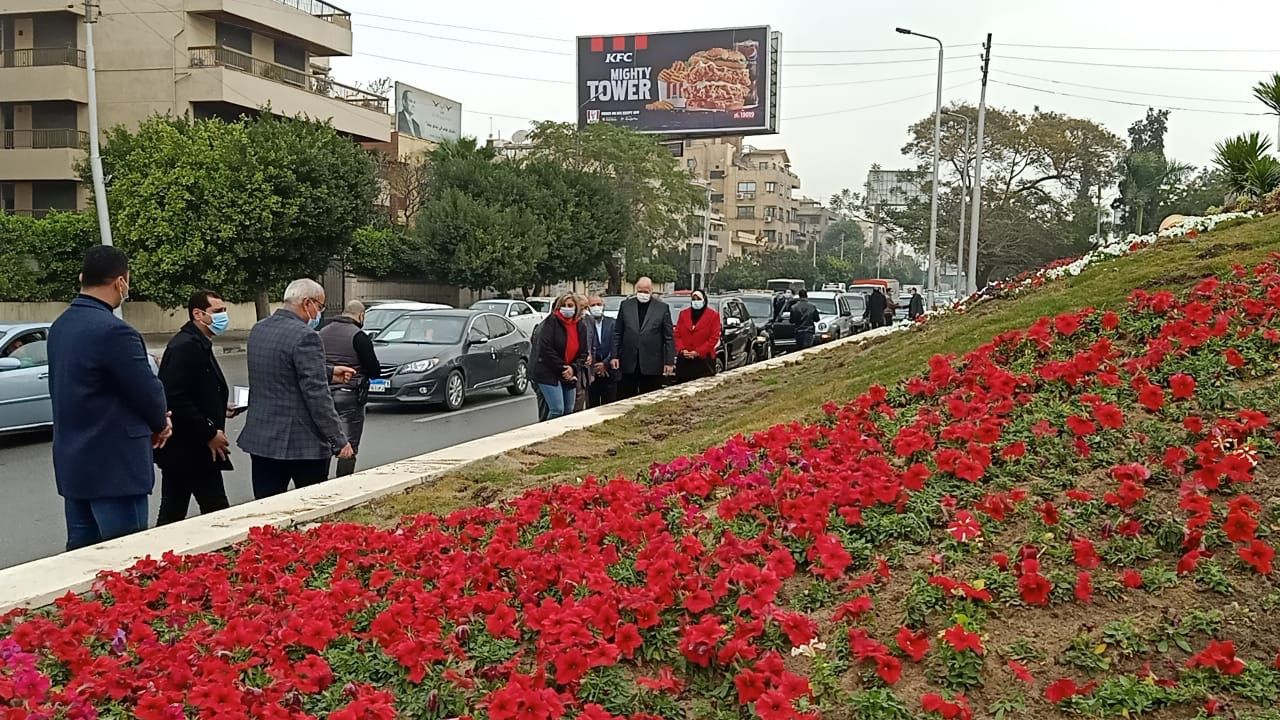 تطوير الجزيرة الوسطى بشارع صلاح سالم