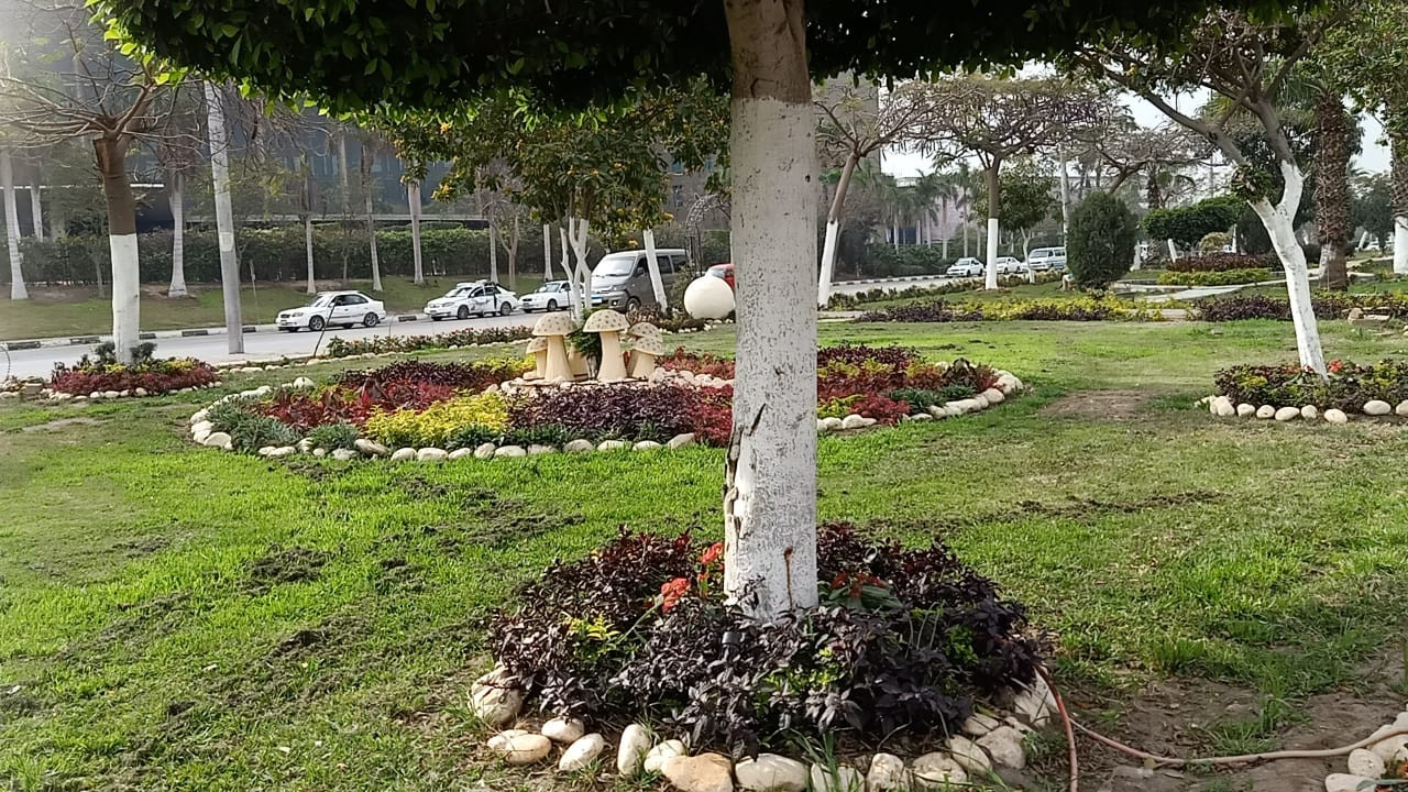 تطوير الجزيرة الوسطى بشارع صلاح سالم