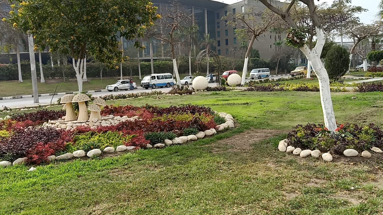 تطوير الجزيرة الوسطى بشارع صلاح سالم