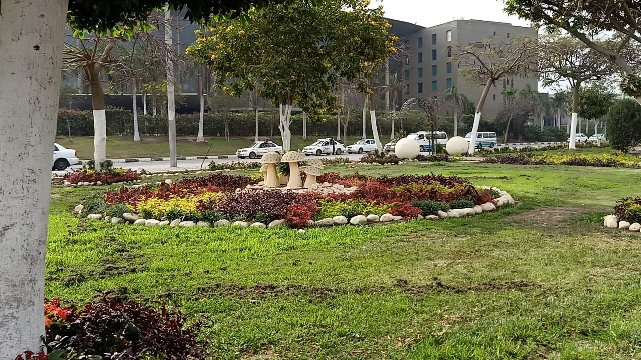 تطوير الجزيرة الوسطى بشارع صلاح سالم