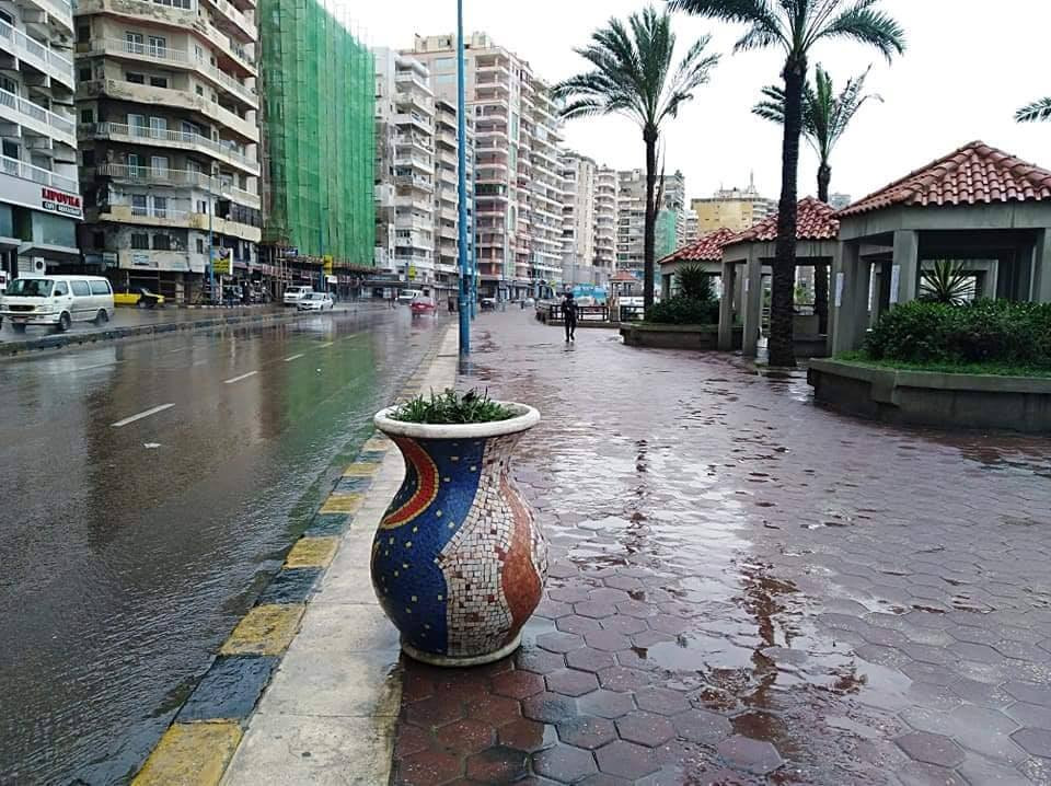 أمطار متوسطة فى الإسكندرية