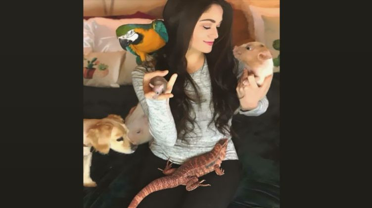 طبيبة تنقذ الحيوانات