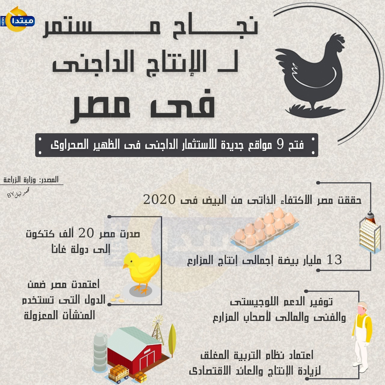 نجاح مستمر لـ الإنتاج الداجنى فى مصر