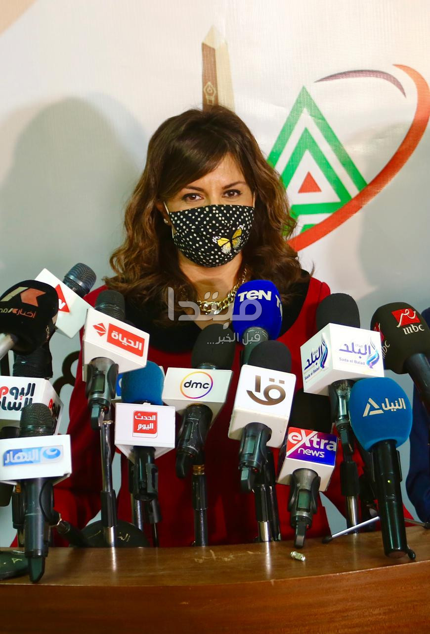 الجلسة الحوارية للمجلس الأعلى لتنظيم الإعلام حول ملف المصريين بالخارج