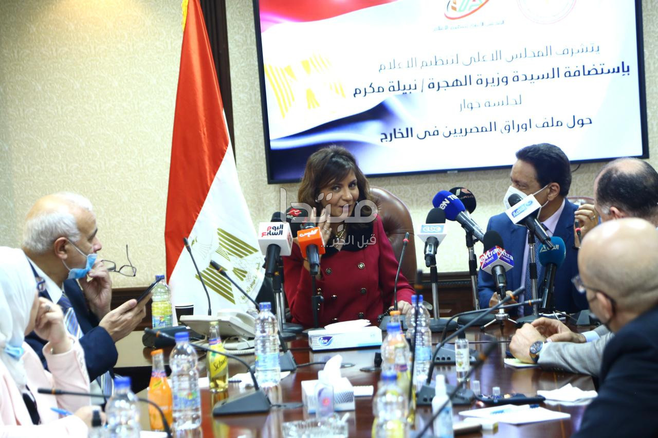 الجلسة الحوارية للمجلس الأعلى لتنظيم الإعلام حول ملف المصريين بالخارج