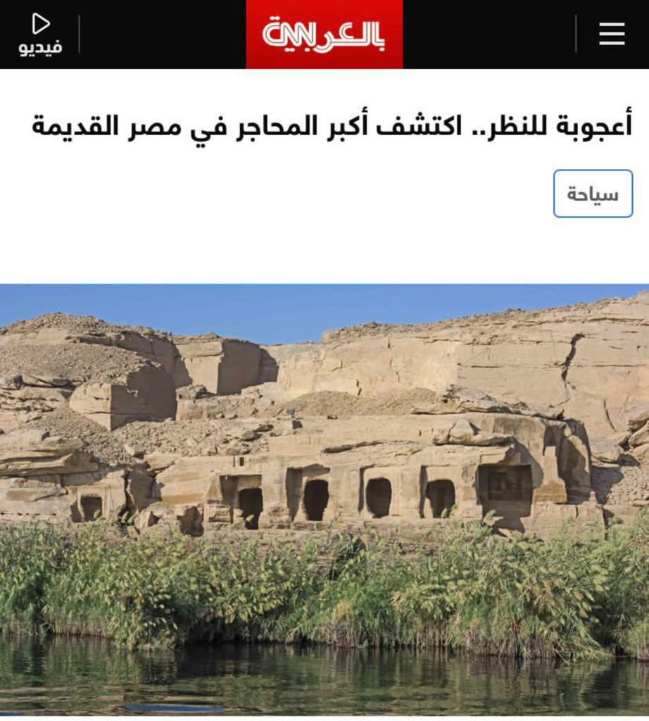 تغريدة