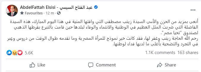 الرئيس السيسى