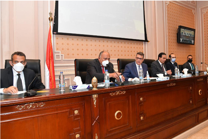 لقاء وزير الخارجية بأعضاء النواب
