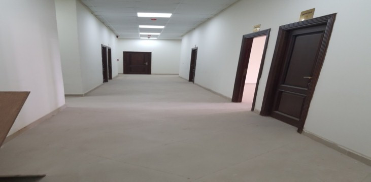 مشروعات جامعة طنطا