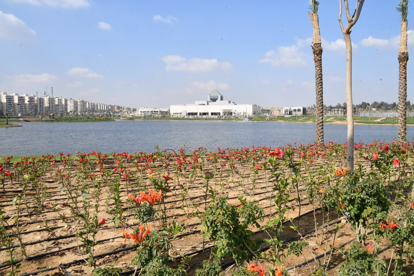 مشروع تطوير بحيرة عين الصيرة