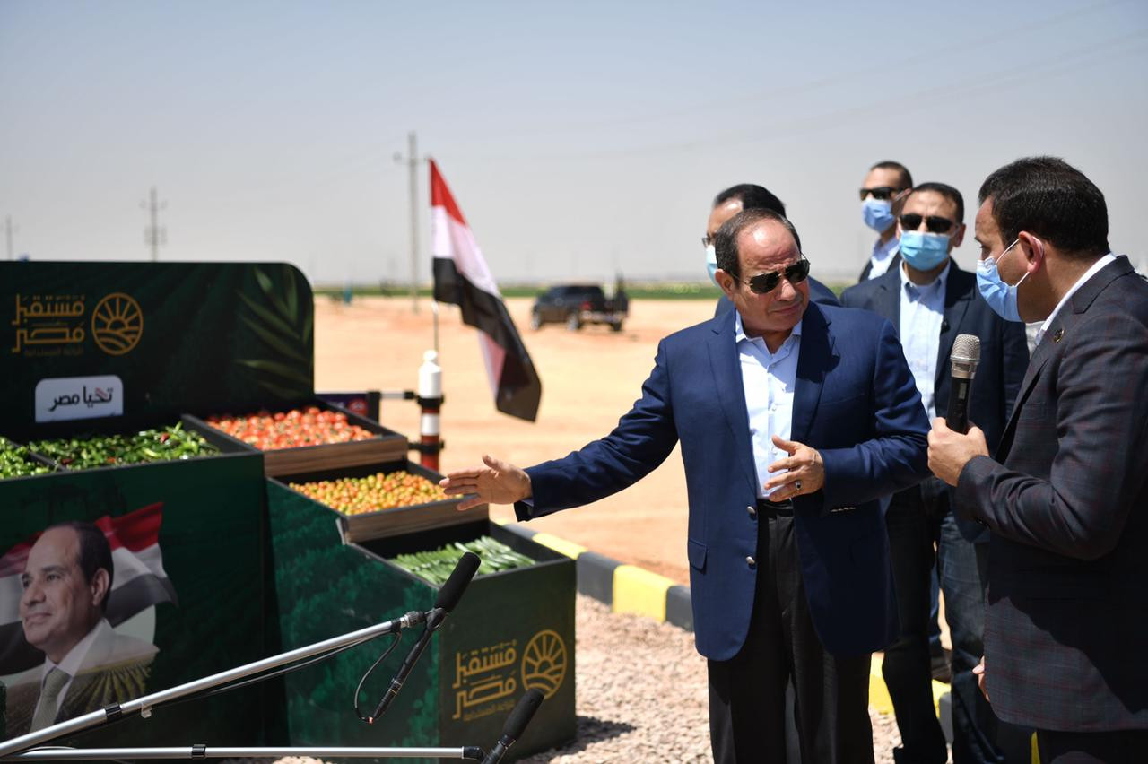 الرئيس السيسى