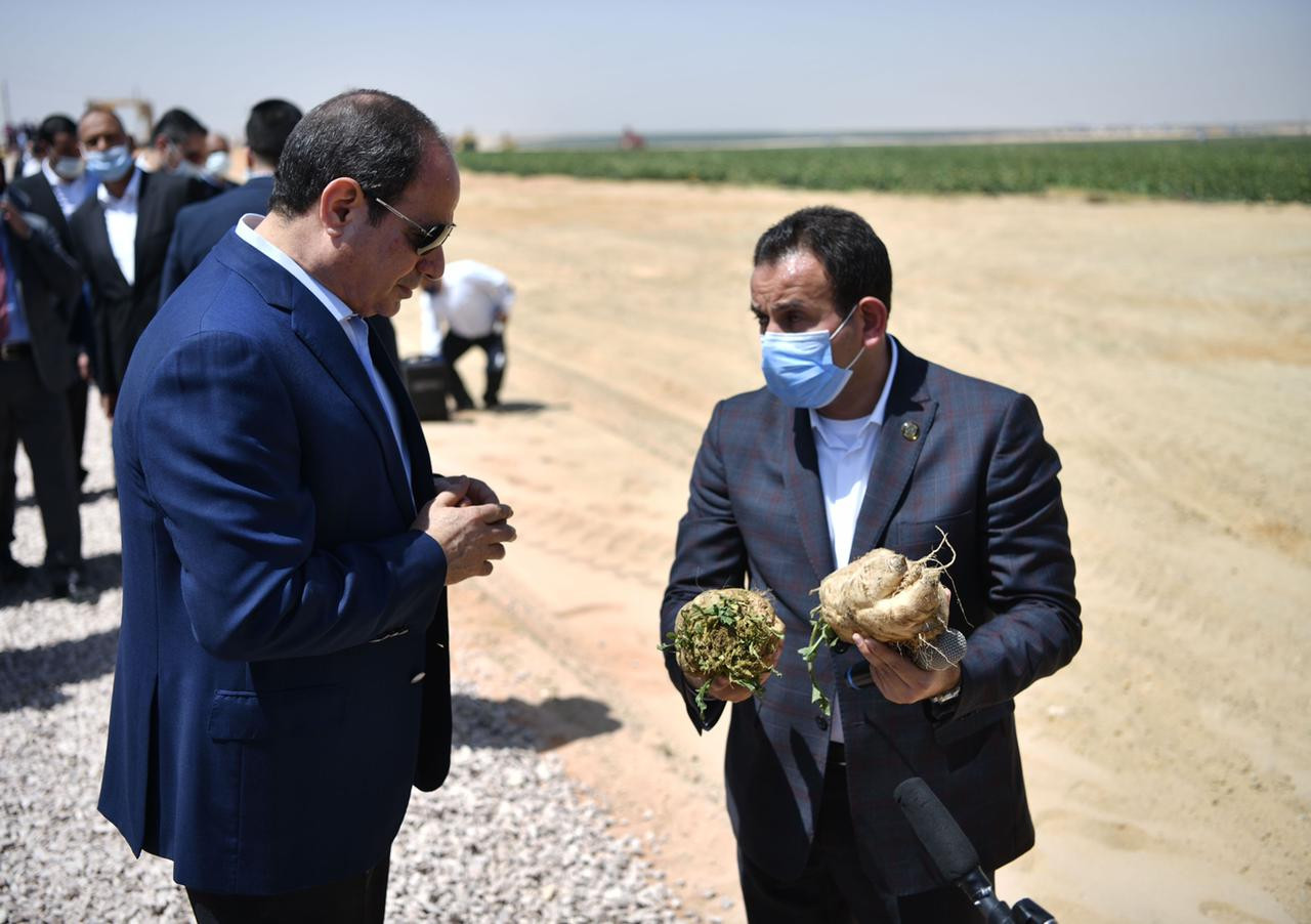 الرئيس السيسى