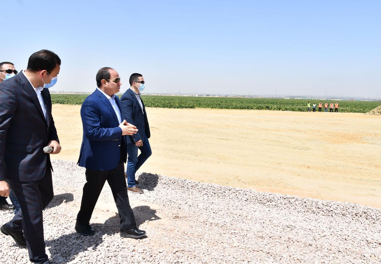 الرئيس السيسى