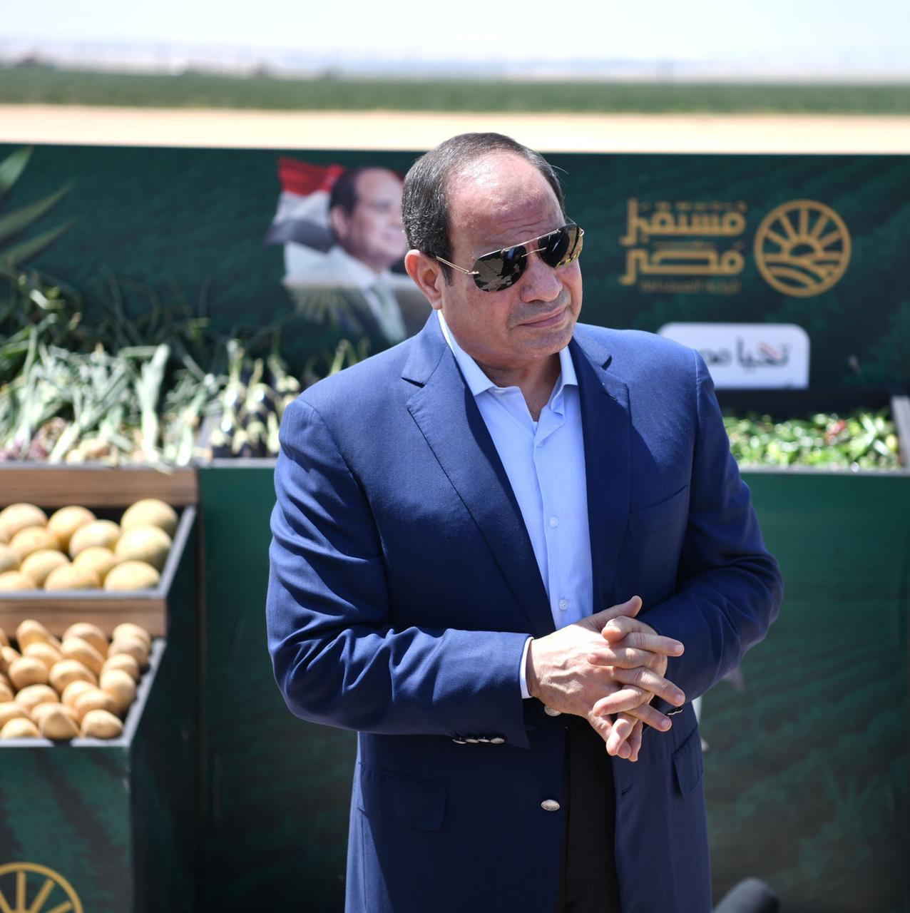 الرئيس السيسى