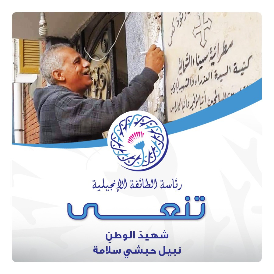 نبيل حبشي