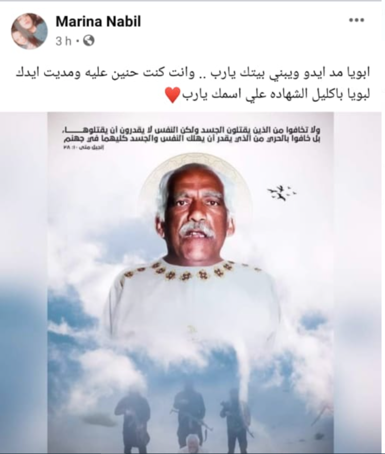 نبيل حبشي