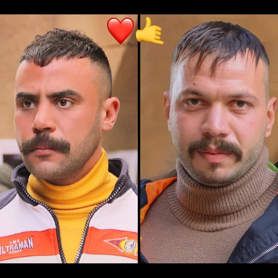 مسلسل النمر