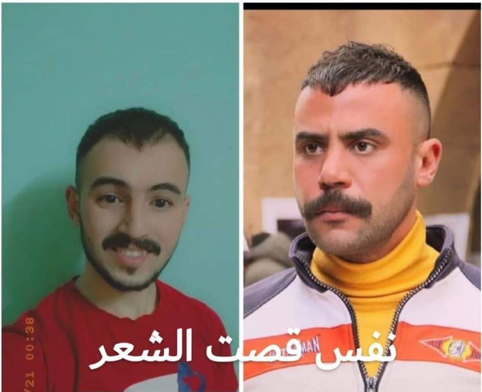مسلسل النمر