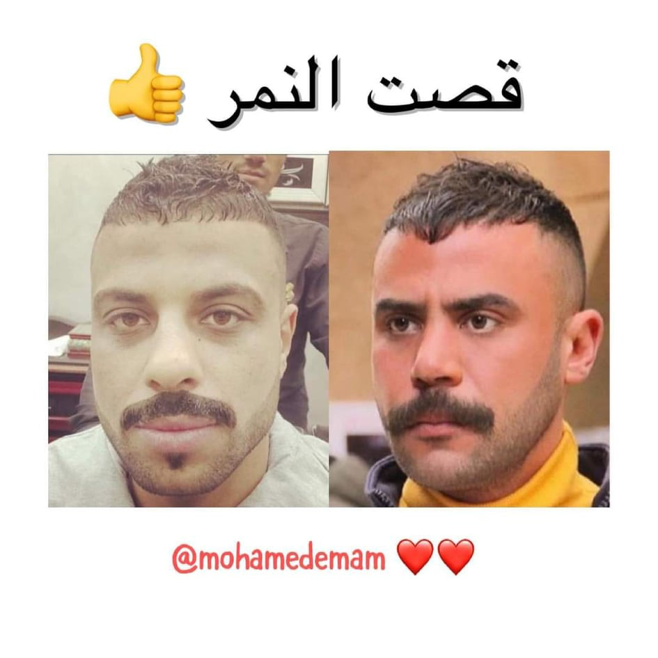 مسلسل النمر