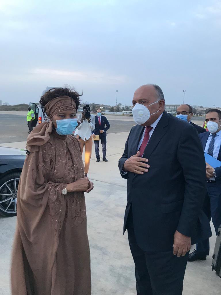 سامح شكرى