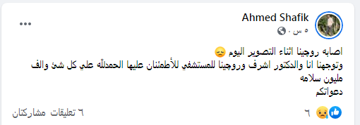 روجينا