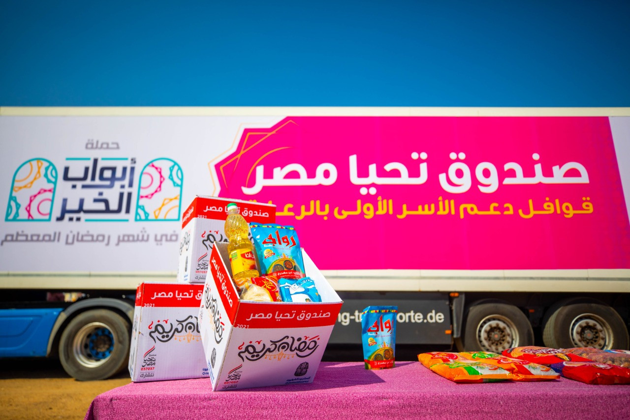 صندوق تحيا مصر