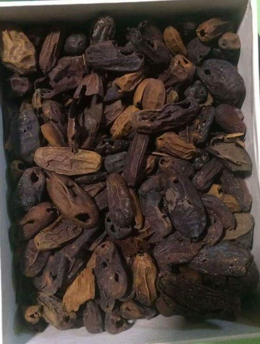 مقبرة توت عنخ آمون