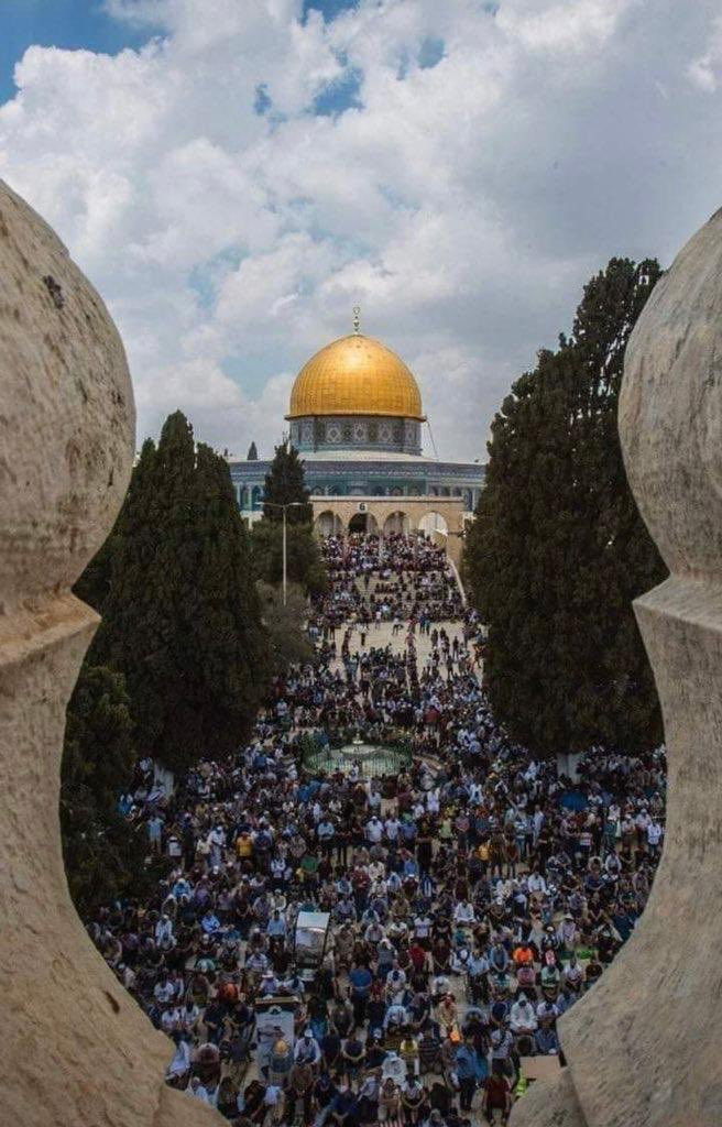 فلسطين