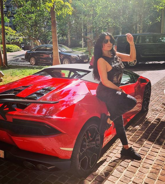 هيفاء وهبى