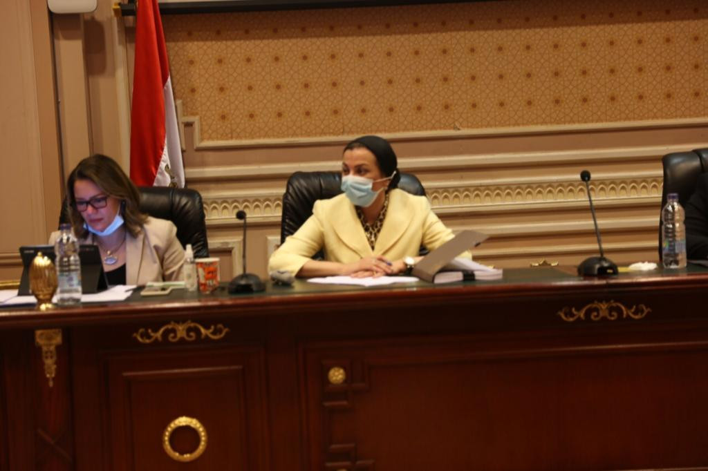 ياسمين فؤاد