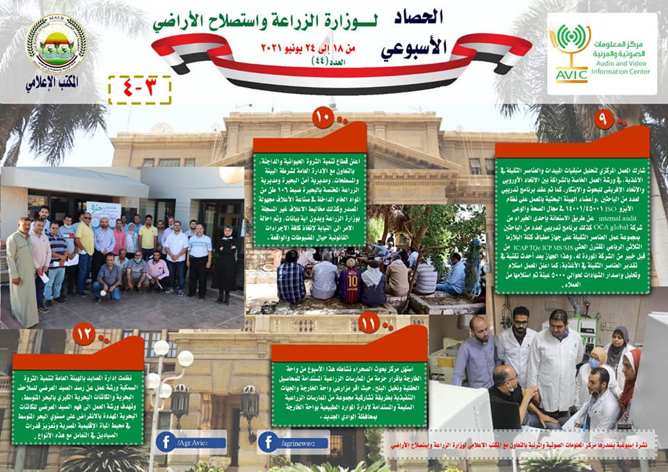 انفوجراف