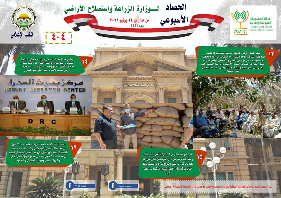 انفوجراف