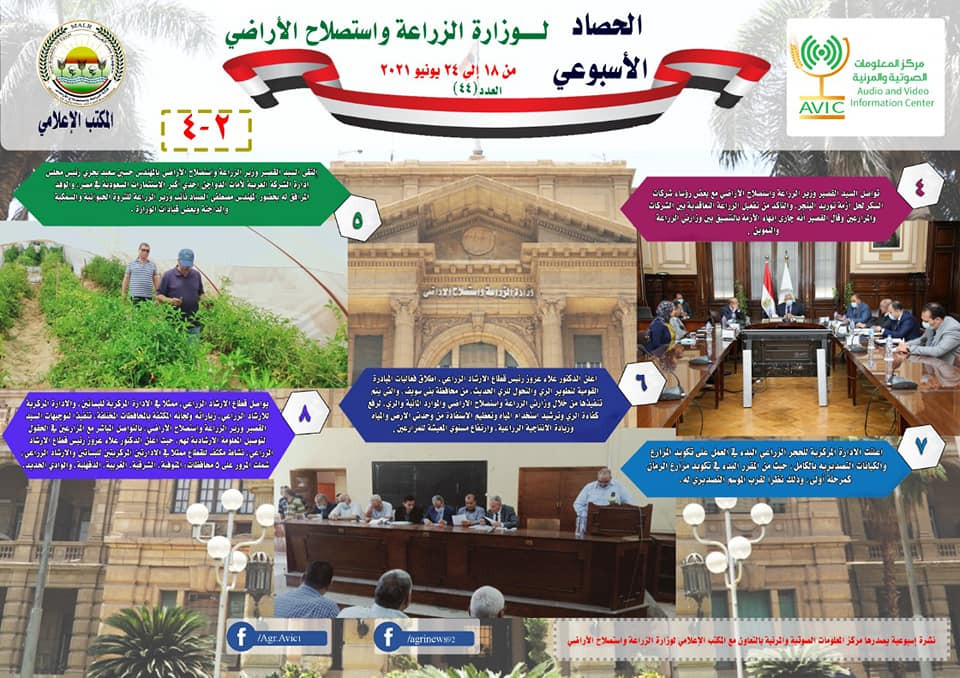 انفوجراف