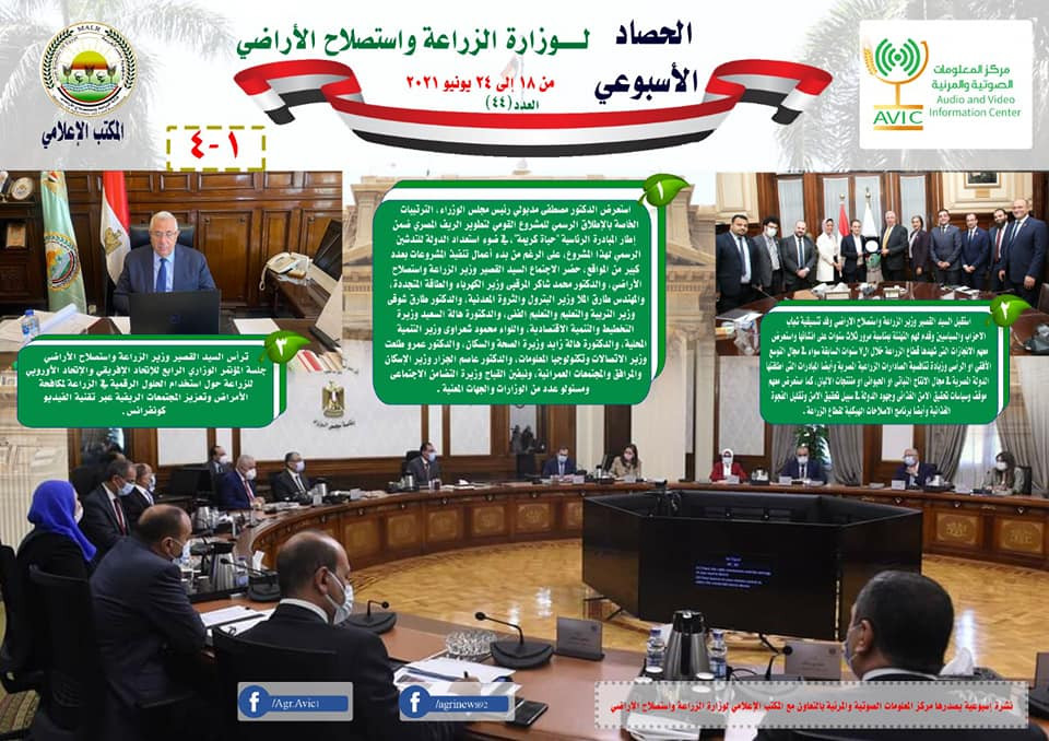 انفوجراف